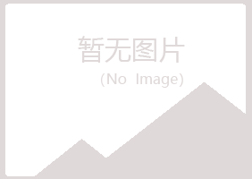 宝山区怜蕾能源有限公司